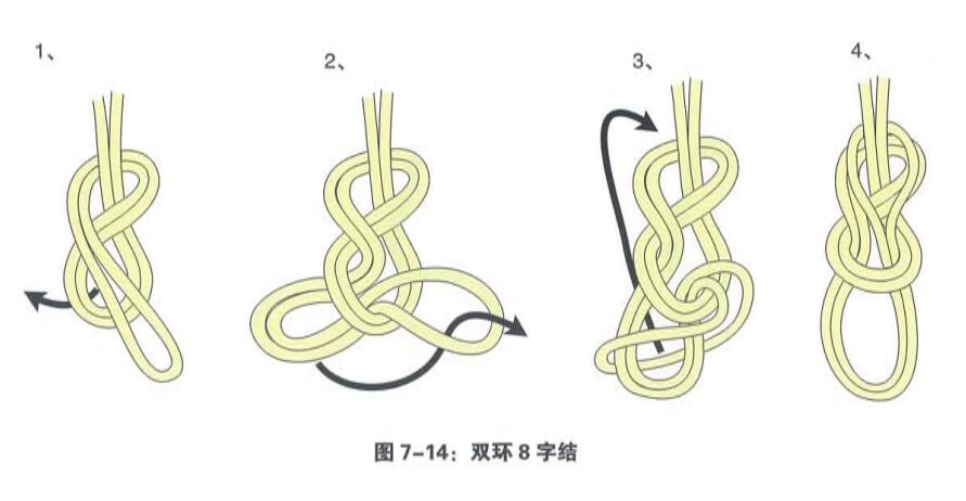 雙環(huán)8字結(jié) 雙環(huán)8字結(jié)