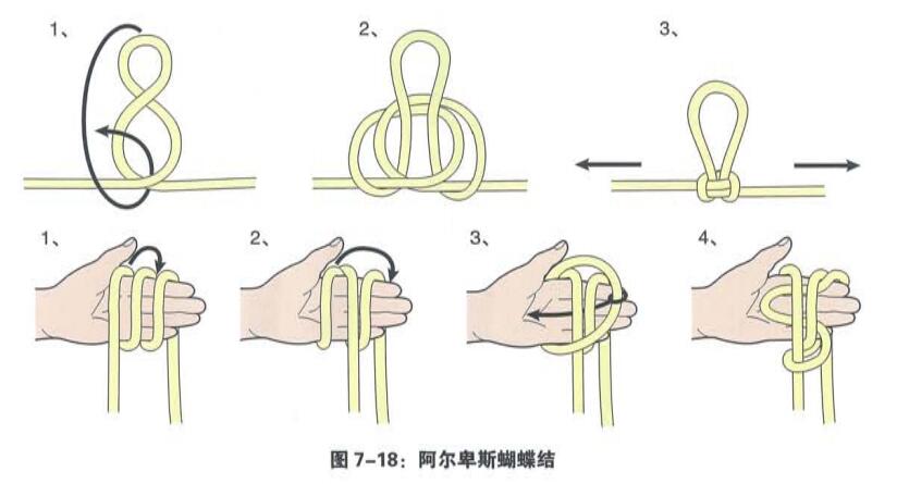 阿爾卑斯蝴蝶結(jié).jpg 阿爾卑斯蝴蝶結(jié).jpg